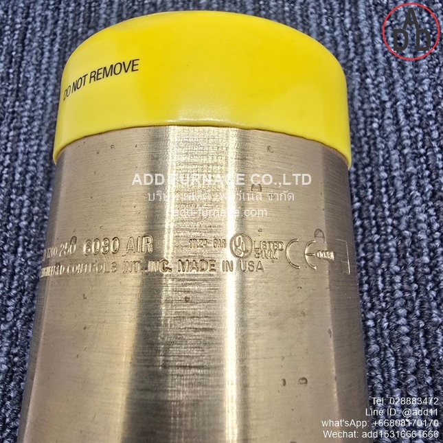 Rego 3133G Safety Relief Valve (6)